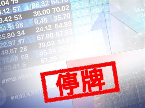 股票停牌