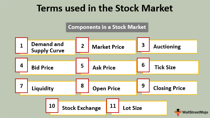 股票市场中的组件