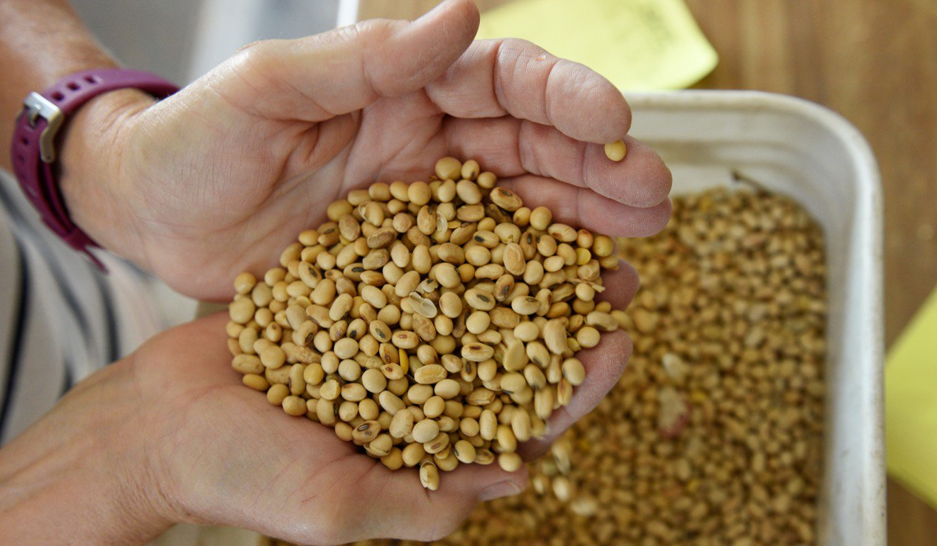 大豆是台湾称将购买的美国作物之一。照片：路透社