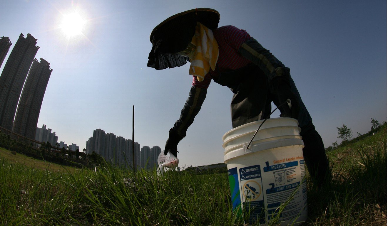 香港的一名工人使用杀虫剂杀死火蚁。照片：SCMP