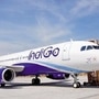 由InterGlobe Aviation推广的IndiGo是印度最大的航空公司。